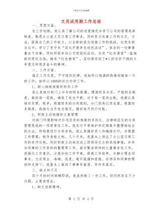 文员试用期工作总结
