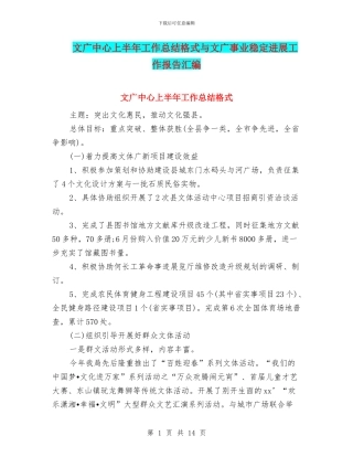 文广中心上半年工作总结格式与文广事业稳定发展工作报告汇编