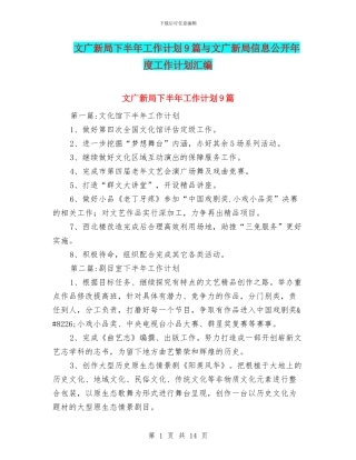 文广新局下半年工作计划9篇与文广新局信息公开年度工作计划汇编