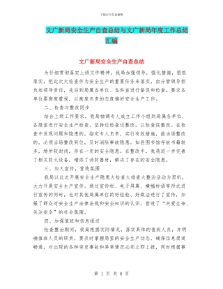 文广新局安全生产自查总结与文广新局年度工作总结汇编