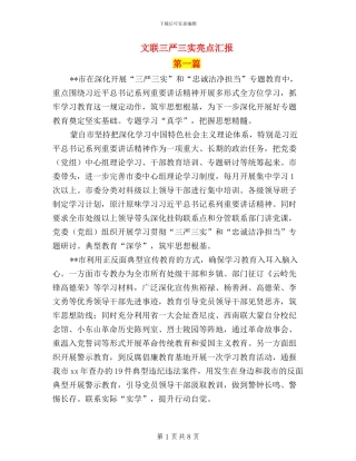 文联三严三实亮点汇报