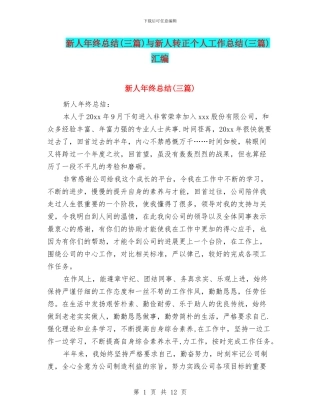 新人年终总结与新人转正个人工作总结(三篇)汇编