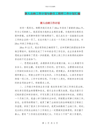 新人出纳工作计划与新任工程师工作计划汇编