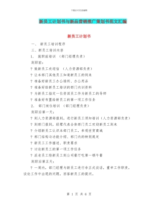 新员工计划书与新品营销推广策划书范文汇编