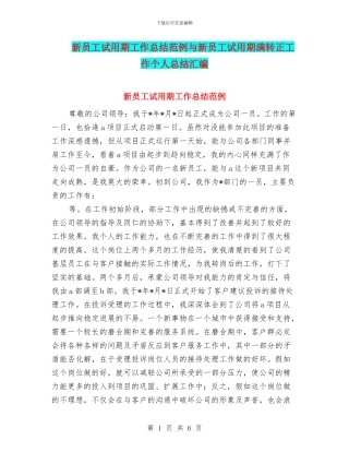 新员工试用期工作总结范例与新员工试用期满转正工作个人总结汇编