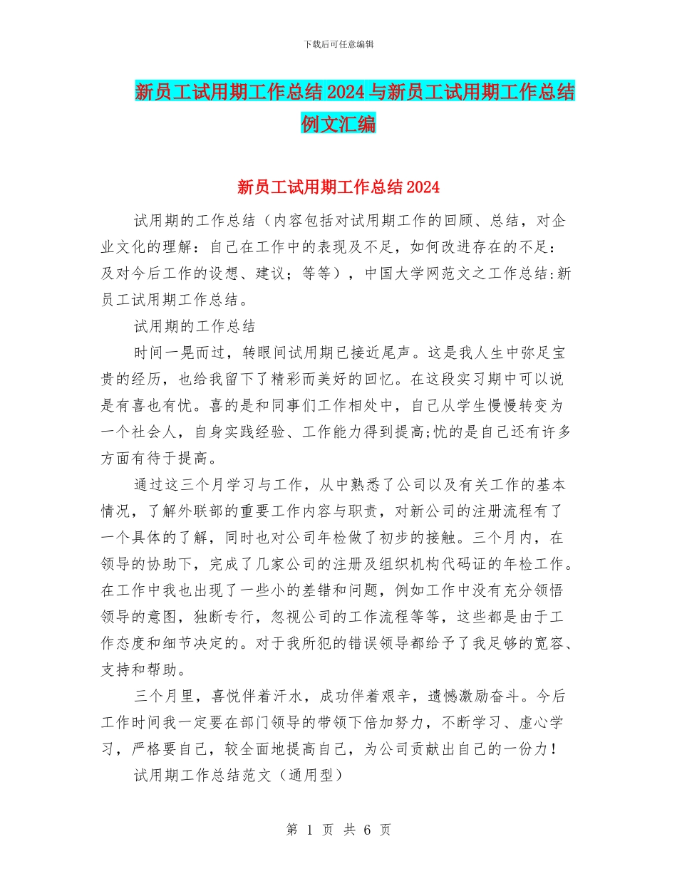 新员工试用期工作总结2024与新员工试用期工作总结例文汇编_第1页