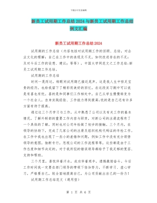 新员工试用期工作总结2024与新员工试用期工作总结例文汇编