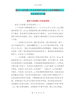 新员工试用期工作总结范例与新员工试用期满转正工作总结范文汇编