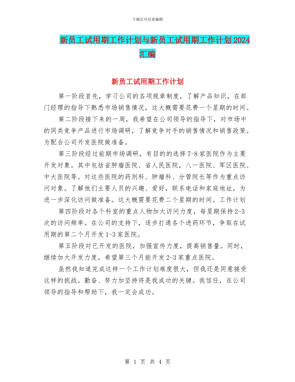 新员工试用期工作计划与新员工试用期工作计划2024汇编_第1页