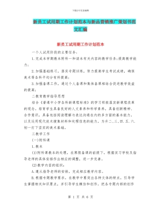 新员工试用期工作计划范本与新品营销推广策划书范文汇编