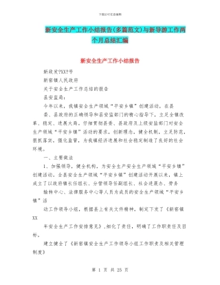 新安全生产工作小结报告与新导游工作两个月总结汇编