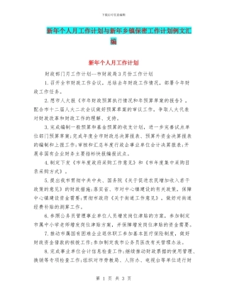 新年个人月工作计划与新年乡镇保密工作计划例文汇编