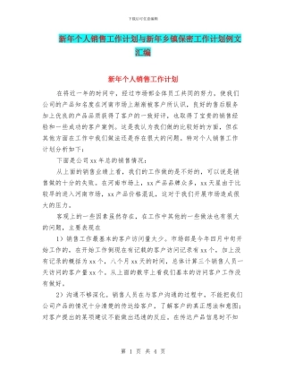 新年个人销售工作计划与新年乡镇保密工作计划例文汇编