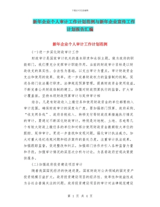 新年企业个人审计工作计划范例与新年企业宣传工作计划报告汇编