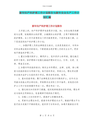 新年妇产科护理工作计划报告与新年安全生产工作计划汇编