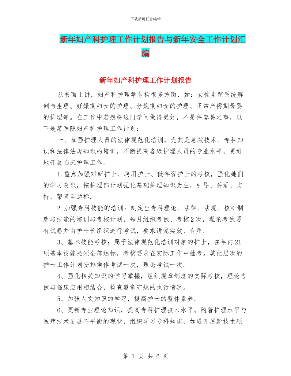 新年妇产科护理工作计划报告与新年安全工作计划汇编_第1页