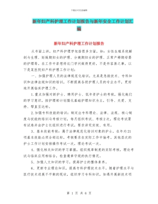 新年妇产科护理工作计划报告与新年安全工作计划汇编