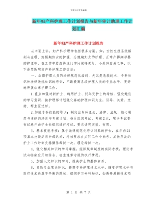 新年妇产科护理工作计划报告与新年审计助理工作计划汇编