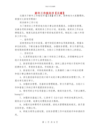 新年工作规划书