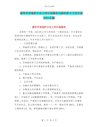 新年手术室护士长工作计划报告与新年护士工作计划2024汇编