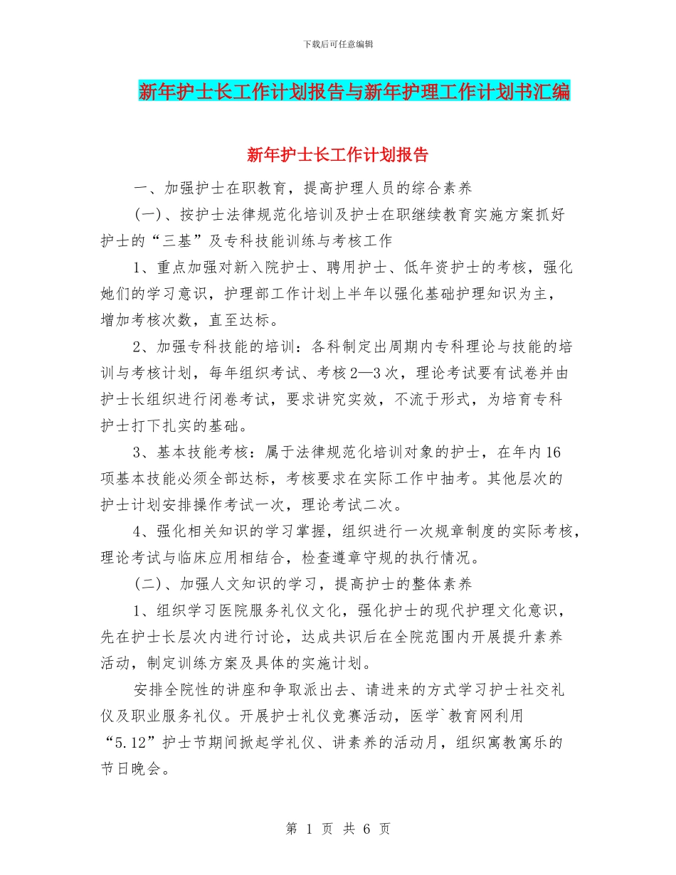 新年护士长工作计划报告与新年护理工作计划书汇编_第1页