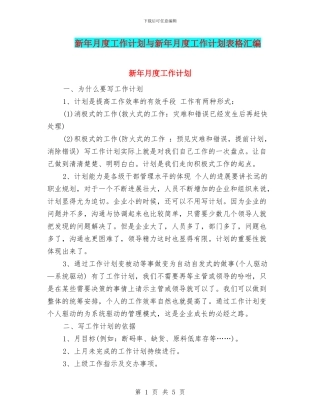 新年月度工作计划与新年月度工作计划表格汇编