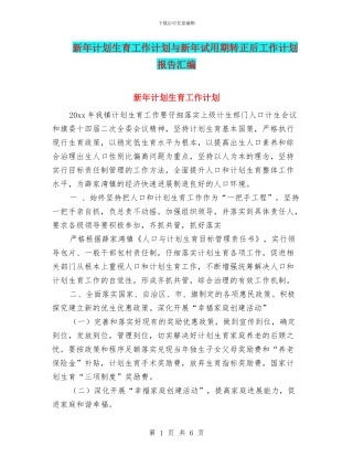 新年计划生育工作计划与新年试用期转正后工作计划报告汇编