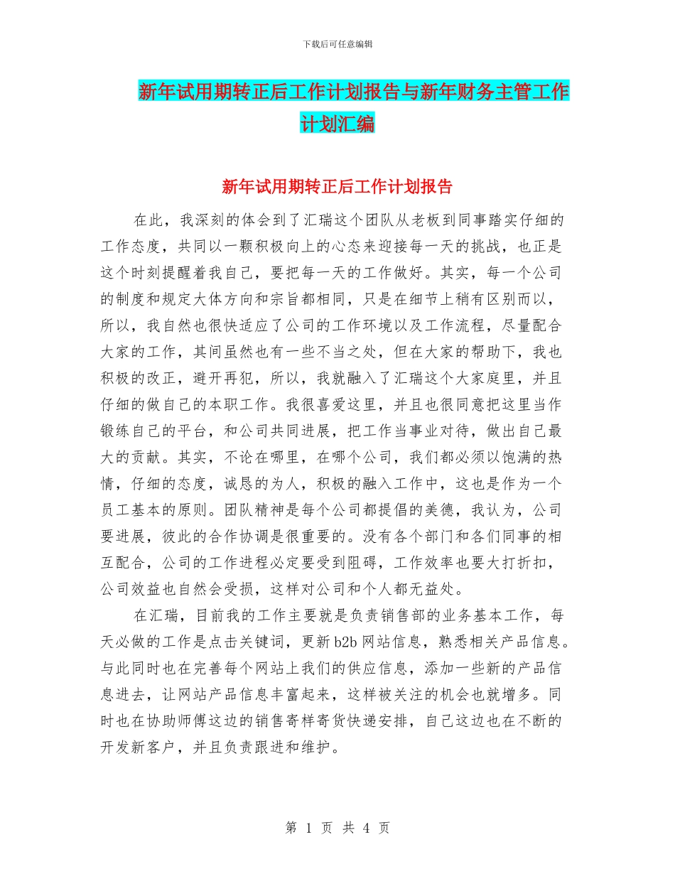 新年试用期转正后工作计划报告与新年财务主管工作计划汇编_第1页