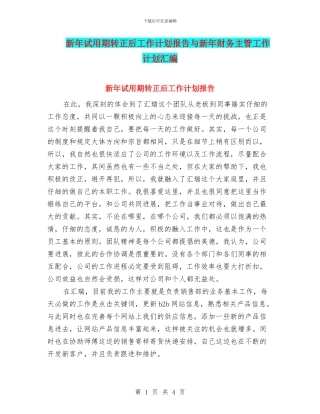 新年试用期转正后工作计划报告与新年财务主管工作计划汇编