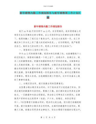 新年销售内勤工作规划报告与新年销售周工作计划汇编