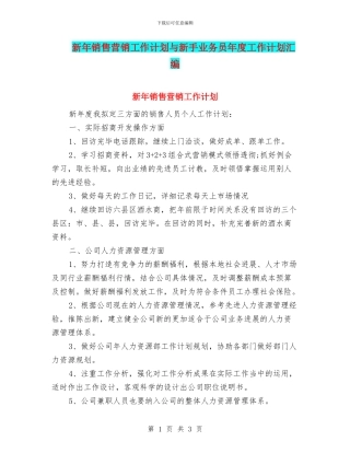 新年销售营销工作计划与新手业务员年度工作计划汇编