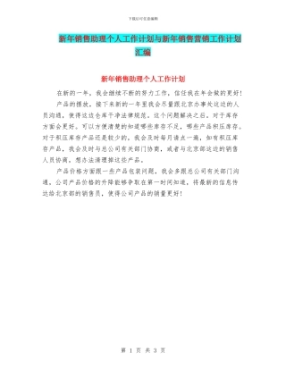 新年销售助理个人工作计划与新年销售营销工作计划汇编