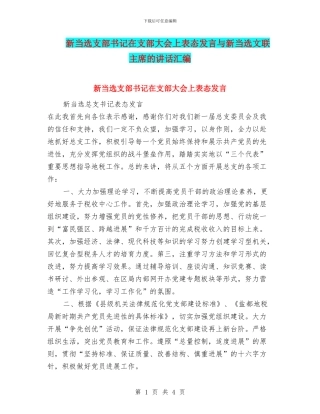 新当选支部书记在支部大会上表态发言与新当选文联主席的讲话汇编