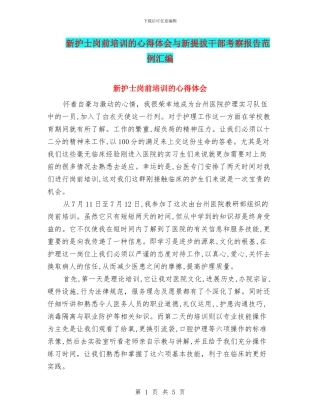 新护士岗前培训的心得体会与新提拔干部考察报告范例汇编