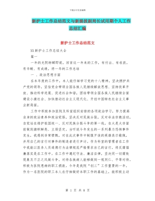 新护士工作总结范文与新提拔副局长试用期个人工作总结汇编