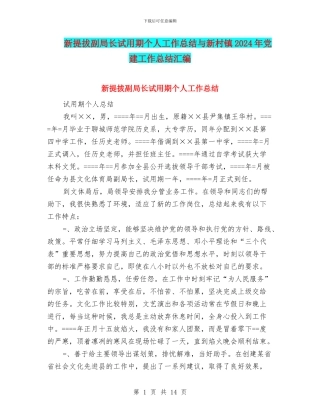 新提拔副局长试用期个人工作总结与新村镇2024年党建工作总结汇编