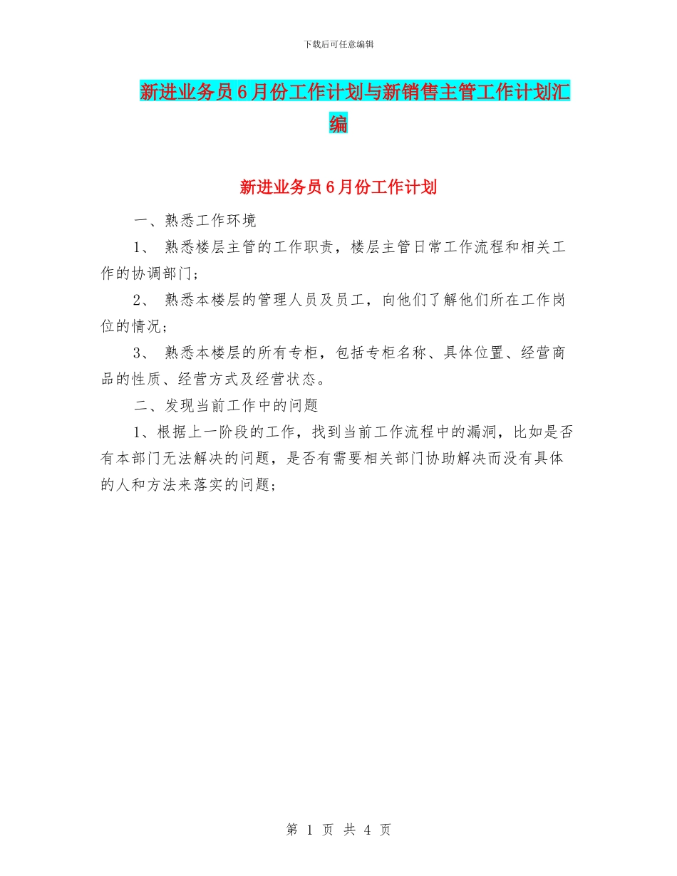 新进业务员6月份工作计划与新销售主管工作计划汇编_第1页
