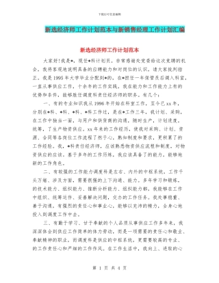 新选经济师工作计划范本与新销售经理工作计划汇编