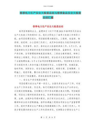 春季电力生产安全大检查总结与春季食品安全大检查总结汇编
