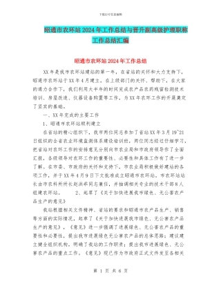 昭通市农环站2024年工作总结与晋升副高级护理职称工作总结汇编