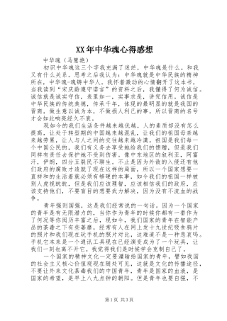 XX年中华魂心得感想