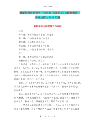 最新保险出纳财务工作总结与最新保险工作总结范文2024汇编