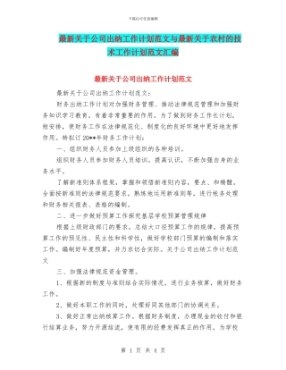 最新关于公司出纳工作计划范文与最新关于农村的技术工作计划范文汇编