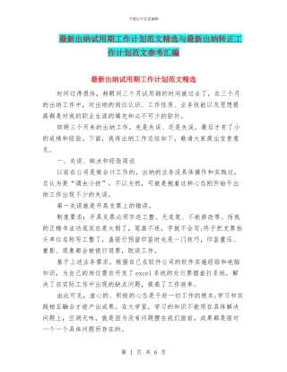 最新出纳试用期工作计划范文精选与最新出纳转正工作计划范文参考汇编