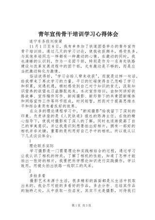 青年宣传骨干培训学习心得体会
