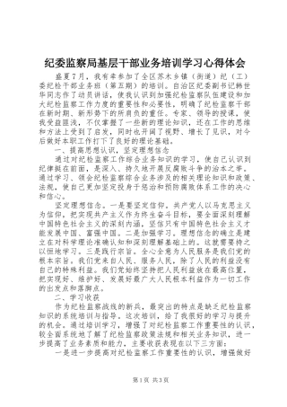 纪委监察局基层干部业务培训学习心得体会