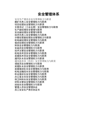 立井煤矿安全管理体系