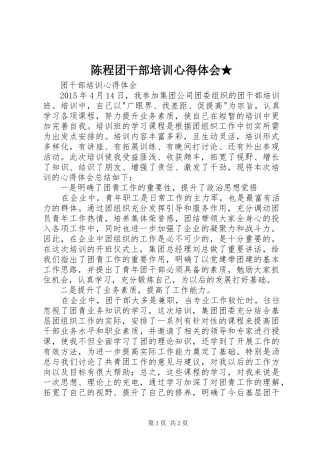 陈程团干部培训心得体会★