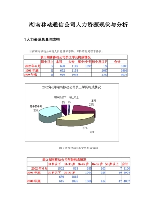 湖南移动通信公司人力资源现状与分析