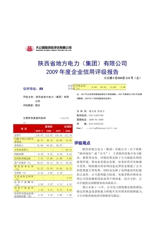 陕西省地方电力企业信用评级报告